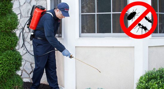 Bakırköy Dezenfeksiyon böcek ilaçlama ve haşere kontrolü — ilaclama-tr.com